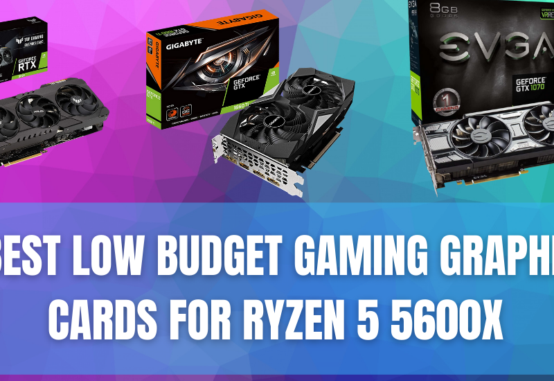 6 Best Low Budget Gaming Graphics Cards for Ryzen 5 5600x
